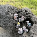 소섬하우스 이미지