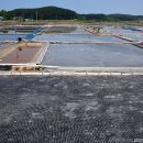 솔향기길 나오리공방 이미지