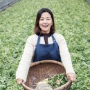 욜로 코스모폴리탄