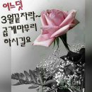 ♤정상까지 올라야 하는 건 아니다.♤ 이미지