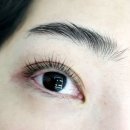 짝 | 화장 안 해도 또렷해진 판교속눈썹 바짝펌 후기