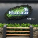 [아기랑-제주] 제주도여행-비행기/렌트/카시트/숙소 예약