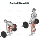 머슬서포트짐 삼봉점 이미지