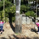 광광 농원 Daum카페