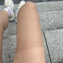 25년 [바다의날마라톤] 후기 - 상암동 [부벽루] 들기름막국수 맛집