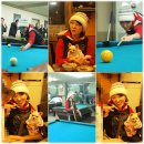 카리스마당구클럽 이미지