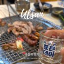 울산 신정동 닭갈비 맛집 숯불의향기 본점