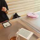 도비베이글