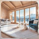 쿨 애견미용 | 파주 애견분양 피부병으로 고생하던 두 강아지 자매를 만나다