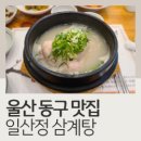 일산정삼계탕