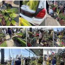 벽제농협내유점 버스정류장 | 돌아온 꽃&amp;모종집 향춘농원!! 리모델링중