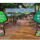 부산 연제구 '2022년 가을맞이 가족 숲체험' 개최 이미지