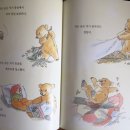 작은 곰 이야기 이미지
