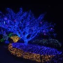 덕산수목원 이미지