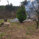 청도소방서 이미지