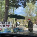 가래골농원 캠핑장 트램펄린 이미지