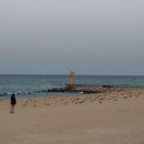 경문목장 이미지