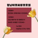 멍냥이 펫싸롱, 펫호텔 이미지