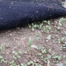 사선대농장 이미지