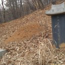 비천솔밭 네이버블로그