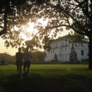 노을진바다 이미지