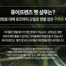 샴푸하는 강아지 이미지