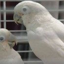 크레용호프 네이버블로그