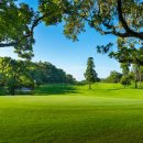 숲속골프 이미지