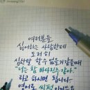 콩깍지 이미지