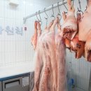 육가원칙 이미지