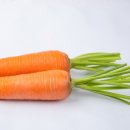 제이엘피트니스 이미지