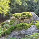 옹달샘한의원 이미지