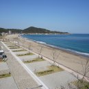 해송피크닉장 이미지