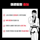 제니스 태권도장&아카데미 이미지