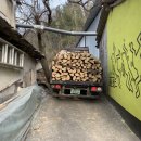 경상남도 수목원 이미지