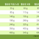 도그프리 이미지