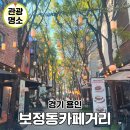 용인 보정동 카페거리 주차 가볼만한곳 볼거리