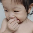 생자연 네이버블로그