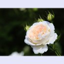 곡성-192 이미지