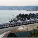 신해운대부동산중개 | ★부산나대지매매,부산토지매매,부산사업부지매매★【동해선 승객 65% &#39;껑충&#39;…&#34;메가시티 사는 느낌&#34;】
