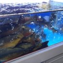 키다리횟집 이미지