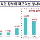 윤석열 정부의 국군의날 행사비용 이미지