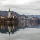 블레드 섬(Bled Island) 이미지