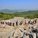 달마고도 이미지