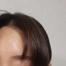 홀링헤어