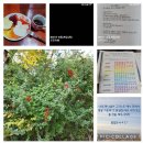 멘토파트너즈 이미지