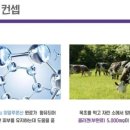 소로3-133 이미지