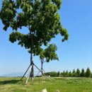 반자주 민락점 이미지