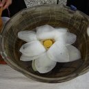 낭산다례원 Daum카페