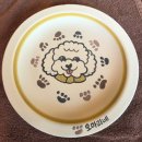 내 손으로 빚는 도자기(5월) | 가평 도자기체험 이클림🎨 강아지 5마리 애견동반 도자기카페 내돈내산 후기